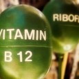 A quanto sembra, la “questione B12” è la più dibattuta del mondo vegan… perché, dato che la B12, una vitamina fondamentale per il metabolismo delle cellule del nostro corpo, è […]